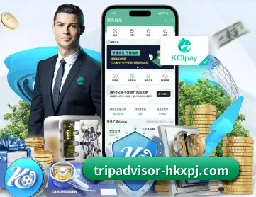 澳门新葡京 APP 深度功能